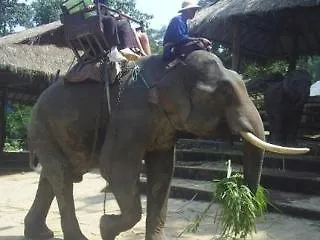 ***  منتجع بيس بارادايس بيتش Ko Lanta تايلاند
